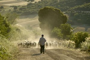 Η ανάπτυξη της υπαίθρου οδηγεί τη μείωση της ανεργίας στην Ισπανία