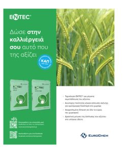 Πριμ 80 ευρώ το στρέμμα ως εναλλακτική στο σκληρό που διατηρεί τις εκτάσεις