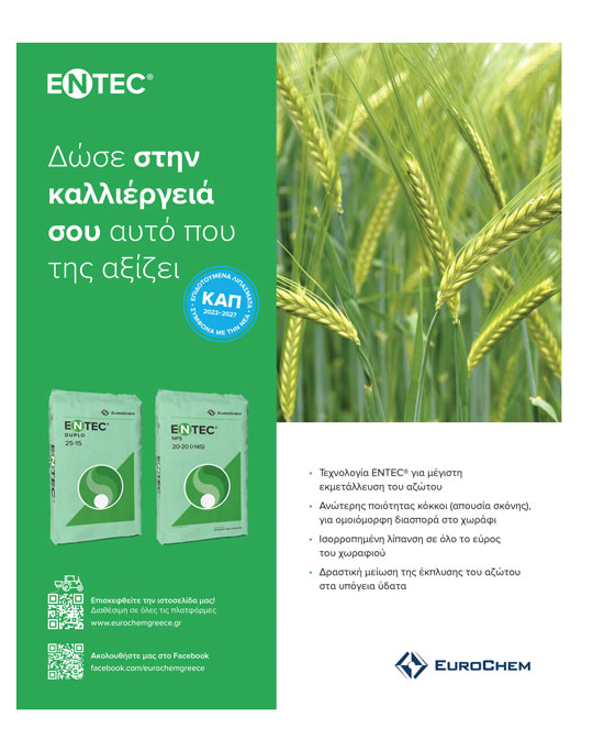 Πριμ 80 ευρώ το στρέμμα ως εναλλακτική στο σκληρό που διατηρεί τις εκτάσεις