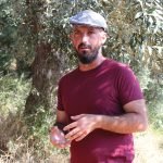 Στο μυαλό των μαέστρων ελαιολάδου της Χαέν, το ισπανικό μοντέλο ανάπτυξης της ελαιοκομίας - Ελαίας Καρπός