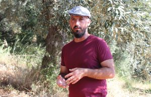 Στο μυαλό των μαέστρων ελαιολάδου της Χαέν, το ισπανικό μοντέλο ανάπτυξης της ελαιοκομίας - Ελαίας Καρπός