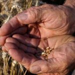 M&S: Σχέδιο «Plan A for Farming» με αιχμή την επισιτιστική ασφάλεια στο Ηνωμένο Βασίλειο