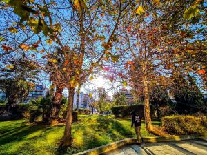 Καιρός: Γενικά αίθριος με λίγες τοπικές νεφώσεις το απόγευμα στην ανατολική Μακεδονία και τη Θράκη