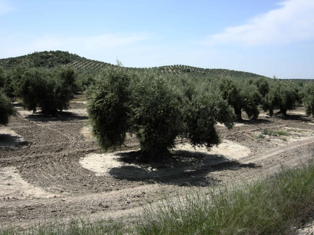 Η ακτινογραφία των ισπανικών στατιστικών στοιχείων αποκαλύπτει