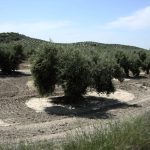 Η ακτινογραφία των ισπανικών στατιστικών στοιχείων αποκαλύπτει