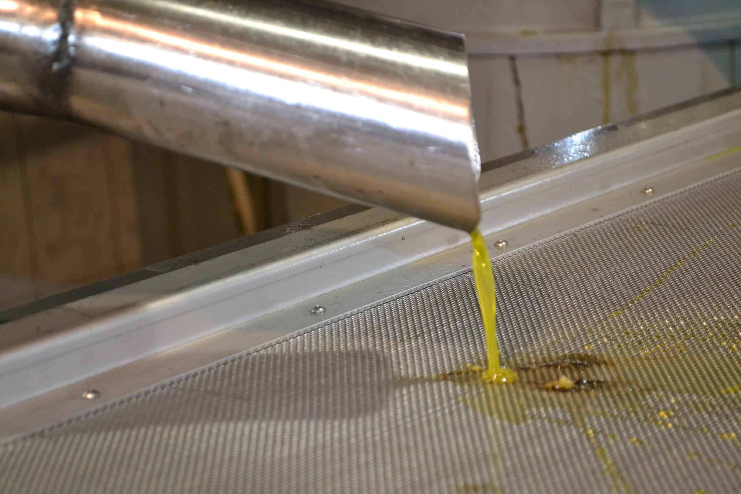 Το Ισπανικό ισοζύγιο ελαιολάδων Αυγούστου 2025 χωρίς εκπλήξεις