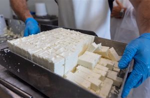Άμεσος κίνδυνος για τις εξαγωγές φέτας ο εμβολιασμός κατά της ευλογιάς δηλώνουν στελέχη ΥΠΑΑΤ - Τυροκόμος