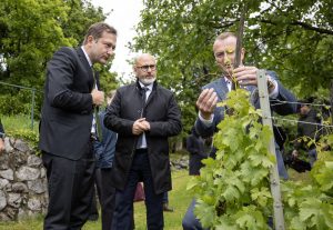 Θα μείνει τίποτα για τον οίνο από το συνολικό κονδύλι της νέας ΚΑΠ; - Winetrails