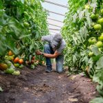 Η Syngenta επιστρατεύει το AI για ανίχνευση της βέλτιστης ποικιλίας για παραγωγούς λαχανικών - Fresher