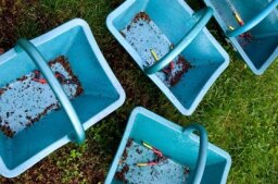 Αγροτικές Ειδήσεις: ΚΕΟΣΟΕ: Η γαλλική συγκομιδή σταφυλιών χάνει 4 εκατομμύρια εκατόλιτρα σε ένα μήνα