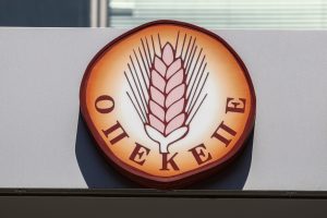 Αποκαλύψεων συνέχεια για τον ΟΠΕΚΕΠΕ: Νοίκιαζαν χωράφια από νεκρούς! - Τα «φουσκωμένα» δεδομένα μιας 69χρονης