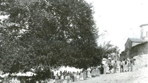 Ένταξη μνημειακού πλατάνου Αγ. Ιωάννη Αρκαδίας στο Δίκτυο Αιωνόβιων Δέντρων Ελληνικής Επανάστασης