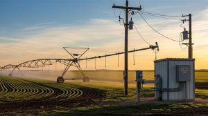 Ενίσχυση του πρωτογενούς τομέα στην Καστοριά με έργα Αγροτικού Εξηλεκτρισμού