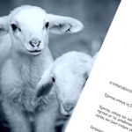 Ευλογιά αιγοπροβάτων: Η Ελλάδα αποκλείεται από το διεθνές εμπόριο αιγοπροβάτων