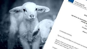 Ευλογιά αιγοπροβάτων: Η Ελλάδα αποκλείεται από το διεθνές εμπόριο αιγοπροβάτων