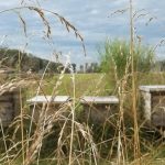 Κόκκαλης σε Κέλλα: Αδικία και εμπαιγμός σε βάρος των μελισσοκόμων