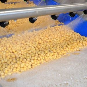 Ανεβαίνει το εμπορικό παιχνίδι στο ρεβίθι, αύξηση 4,6% βλέπει το IGC το 2026