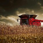 Πού πάνε οι τιμές στο καλαμπόκι; Oι πρώτες πράξεις στην Ελλάδα και τι δείχνει η νέα έκθεση WASDE