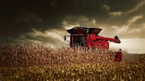 Πού πάνε οι τιμές στο καλαμπόκι; Oι πρώτες πράξεις στην Ελλάδα και τι δείχνει η νέα έκθεση WASDE