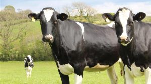 Πώς η συμφωνία Mercosur επηρεάζει τη γεωργία στην Ολλανδία