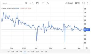 Αγροτικές Ειδήσεις: Βαμβάκι:Τάσεις, προβλέψεις και αντιδράσεις – Που οδεύει η τιμή;