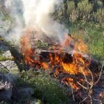 Μέχρι τέλος Οκτωβρίου η αντιπυρική περίοδος: Προσοχή στις φωτιές!