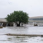 Κόκκαλης: «Δύο χρόνια μετά τον Daniel η Θεσσαλία βυθίζεται στην εγκατάλειψη, στο ψέμα και στα σκάνδαλα»
