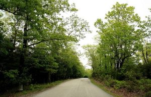 Απαγόρευση κυκλοφορίας σε περιοχές της Χαλκιδικής, λόγω υψηλού κινδύνου εκδήλωσης φωτιάς