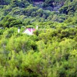 Έως 11 Σεπτεμβρίου 2026 προθεσμία για εξαγορά καταπατημένων εκτάσεων