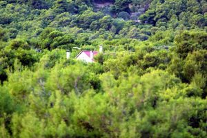 Έως 11 Σεπτεμβρίου 2026 προθεσμία για εξαγορά καταπατημένων εκτάσεων