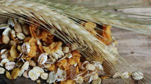 Πτώση στις τιμές αγροτικών προϊόντων βλέπει η Παγκόσμια Τράπεζα