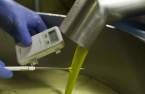 Ελαίας Καρπός