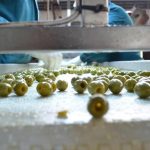 Παρατείνεται η προθεσμία ολοκλήρωσης υλοποίησης των ενταγμένων πράξεων στο πλαίσιο των Δράσεων 4.2.1 και 4.2.2