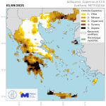Ελιά, εσπεριδοειδή, ηλίανθος θύματα της ξηρασίας και το 2025, σε καλύτερη μοίρα τα αροτραία της Θεσσαλίας