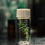 Συμμαχία Bayer – Hispatec για βιώσιμη γεωργία και ασφάλεια τροφίμων