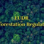 EUDR: Αντιπαράθεση για τον κανονισμό αποψίλωσης – Πιέσεις για καθυστερήσεις, αγωνία στην αγορά