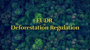 EUDR: Αντιπαράθεση για τον κανονισμό αποψίλωσης – Πιέσεις για καθυστερήσεις, αγωνία στην αγορά
