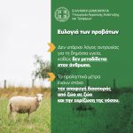 eylogia 5
