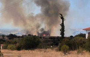 Φωτιά σε χαμηλή βλάστηση στο Πλαγιάρι του δήμου Θέρμης