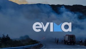 Φωτιά στην Κάρυστο Ευβοίας - Πνέουν ισχυροί άνεμοι