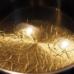 Οι παγκόσμιες εξαγωγές φυτικών ελαίων θα αυξηθούν φέτος