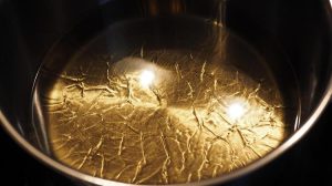 Οι παγκόσμιες εξαγωγές φυτικών ελαίων θα αυξηθούν φέτος