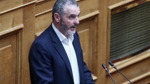 «Απροετοίμαστη η Κυβέρνηση για την ομαλή και ορθή λειτουργία του ελαιοκομικού μητρώου»