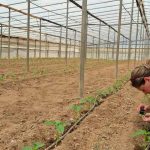 Αγροτικά Προϊόντα: ΘωρακίΖΟΥΜΕ την Πιπεριά παρέα με την Andermatt Anthesis