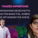 Γαλάζιες καραμπόλες: Παρασκήνιο με βουλευτή και τον φακό της… Κοβέσι σε οργανισμό της χώρας