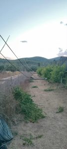 Κολώνα κατέρρευσε στη Μεσσηνία - Αναδεικνύεται το πρόβλημα της συντήρησης