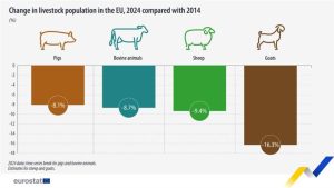 Αγροτικές Ειδήσεις: Κτηνοτροφία: Η σιωπηλή αριθμητική της παρακμής
