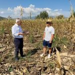 Χαρακόπουλος: Να αποζημιώνει ο ΕΛΓΑ ζημιές από αγριογούρουνα