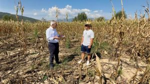 Χαρακόπουλος: Να αποζημιώνει ο ΕΛΓΑ ζημιές από αγριογούρουνα