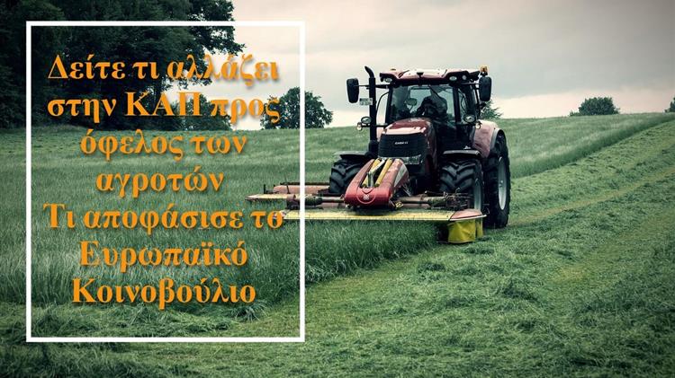 Δείτε τι αλλάζει στην ΚΑΠ προς όφελος των αγροτών – Τι αποφάσισε το Ευρωπαϊκό Κοινοβούλιο